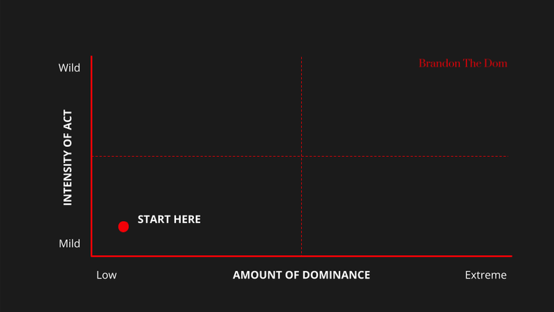 How to Be a Dom: 16 Steps to Becoming a Dominant Man
